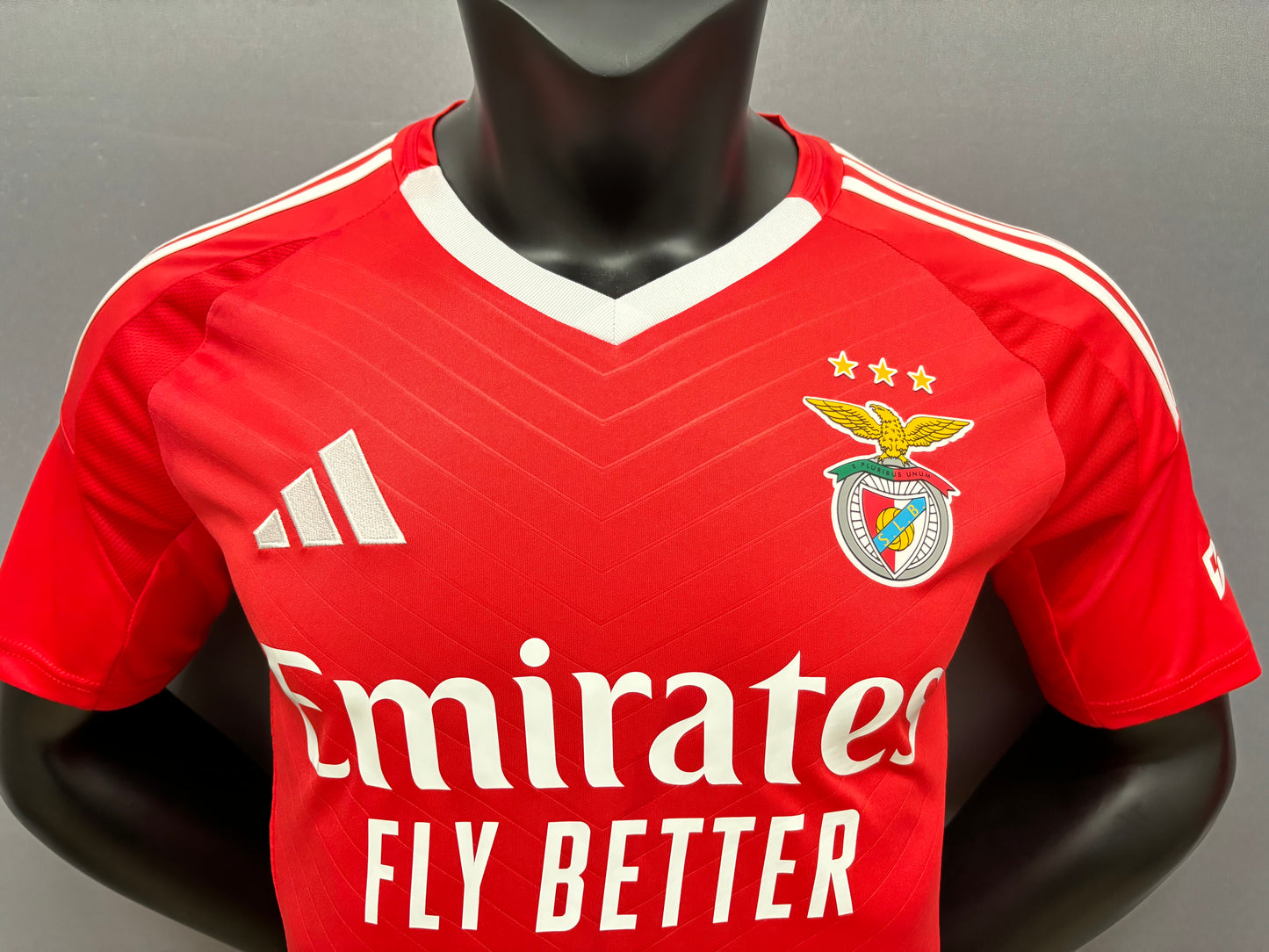 2024 /25 Benfica jersey for men, Name and number can be customized, Benfica home away third jersey, 10-15 Days to your destinatio