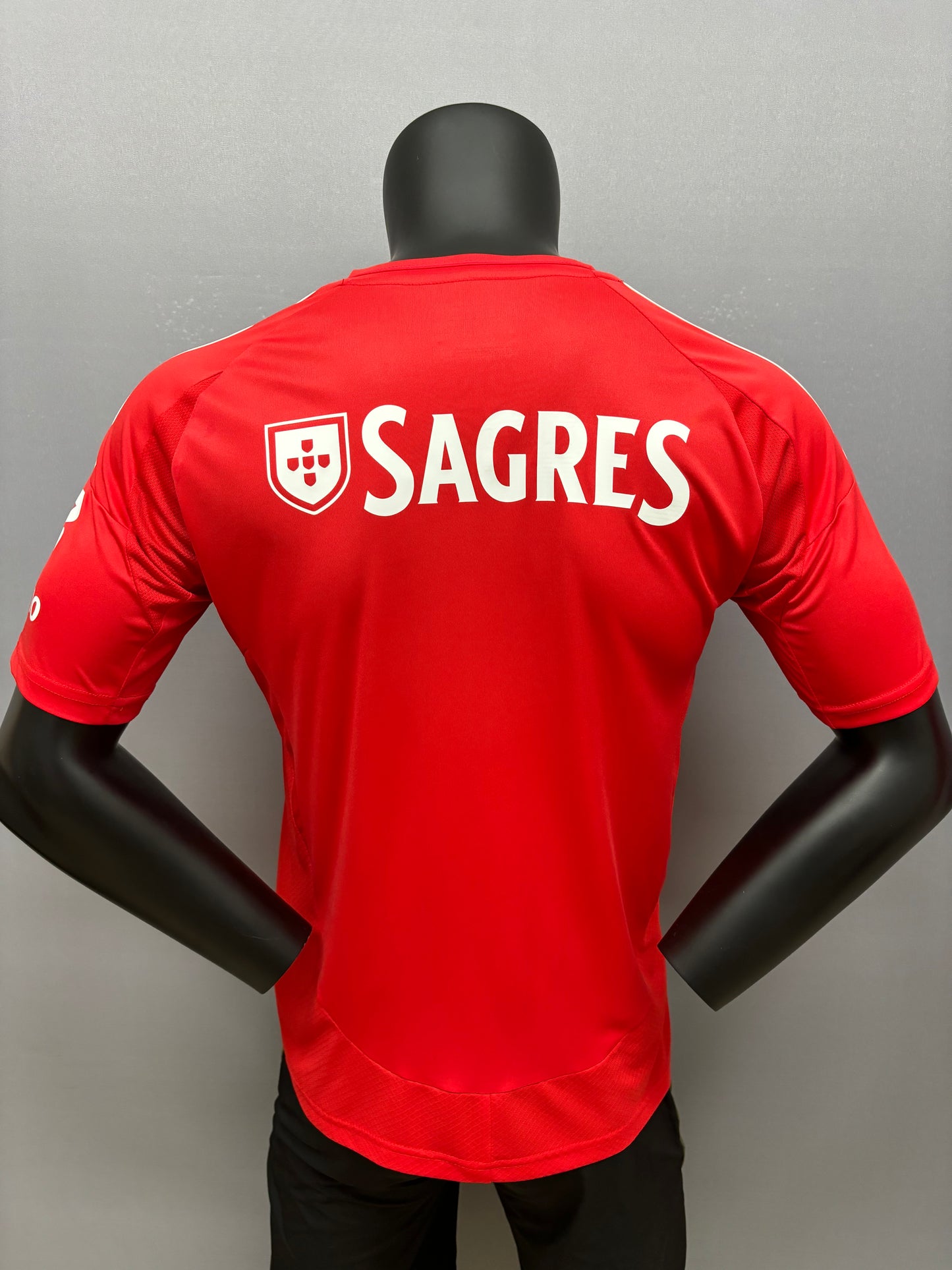 2024 /25 Benfica jersey for men, Name and number can be customized, Benfica home away third jersey, 10-15 Days to your destinatio